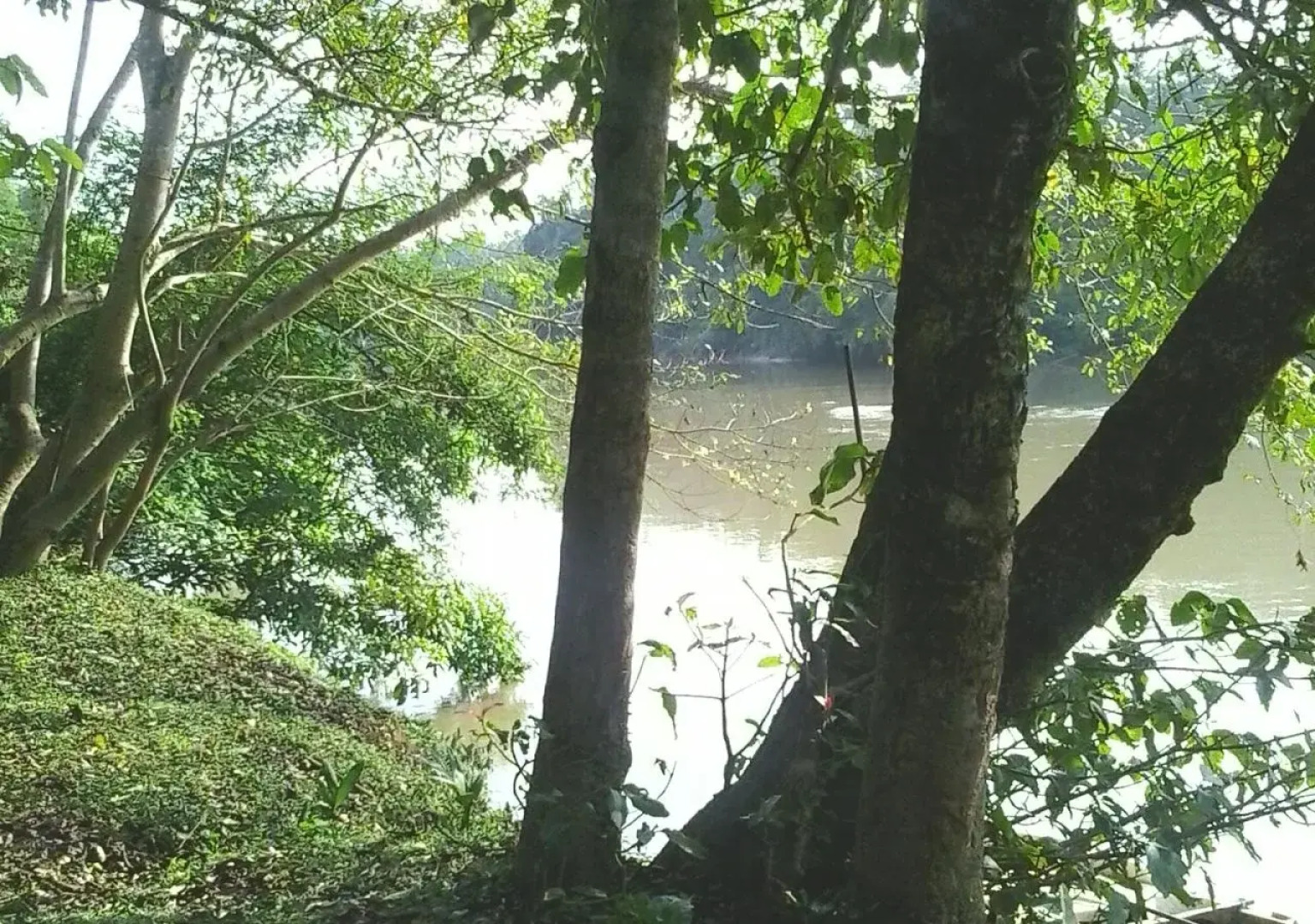 Nature Lovers Resort