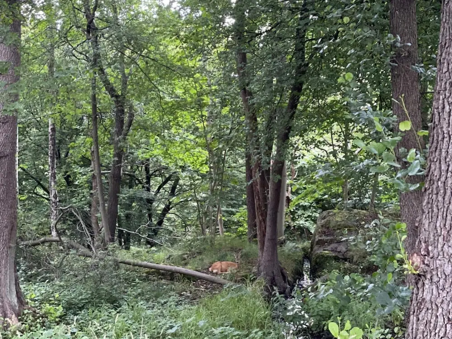 4 Star Holiday Home in Hjortkvarn-by Traum