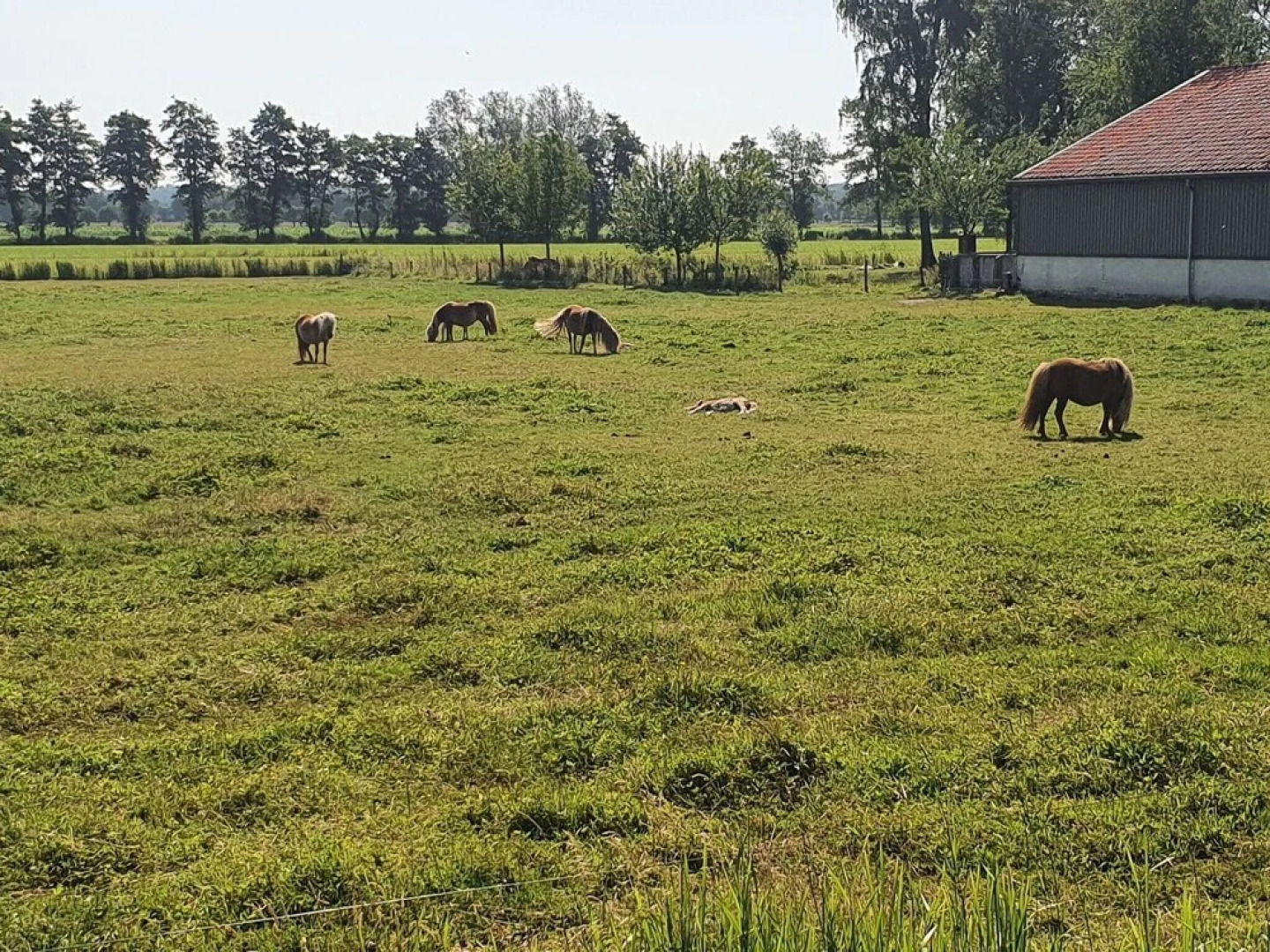 Holiday Home in Overberg With Private Garden and Terrace