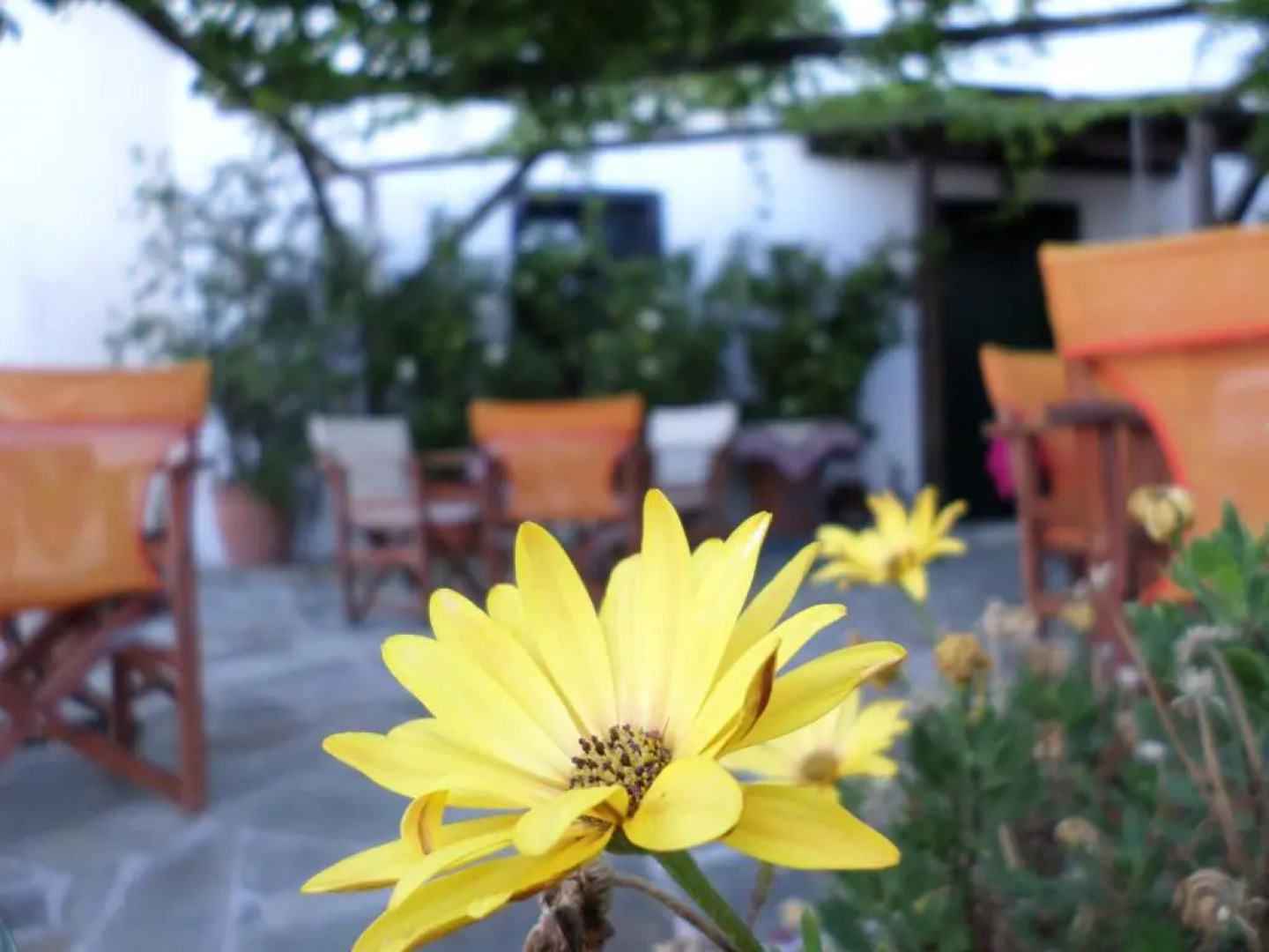 Veras Traditional House