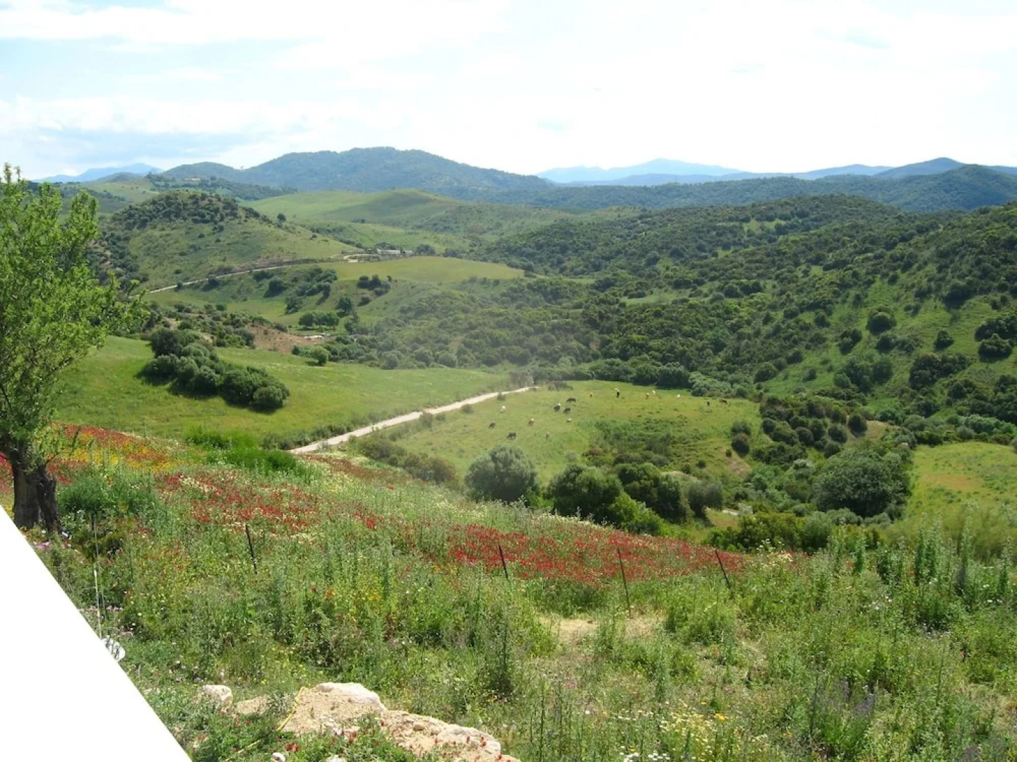 Villa With 3 Bedrooms in Algar, With Private Pool, Enclosed Garden and