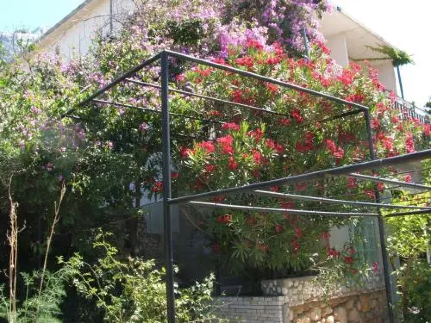 Apartments Stari Pavle