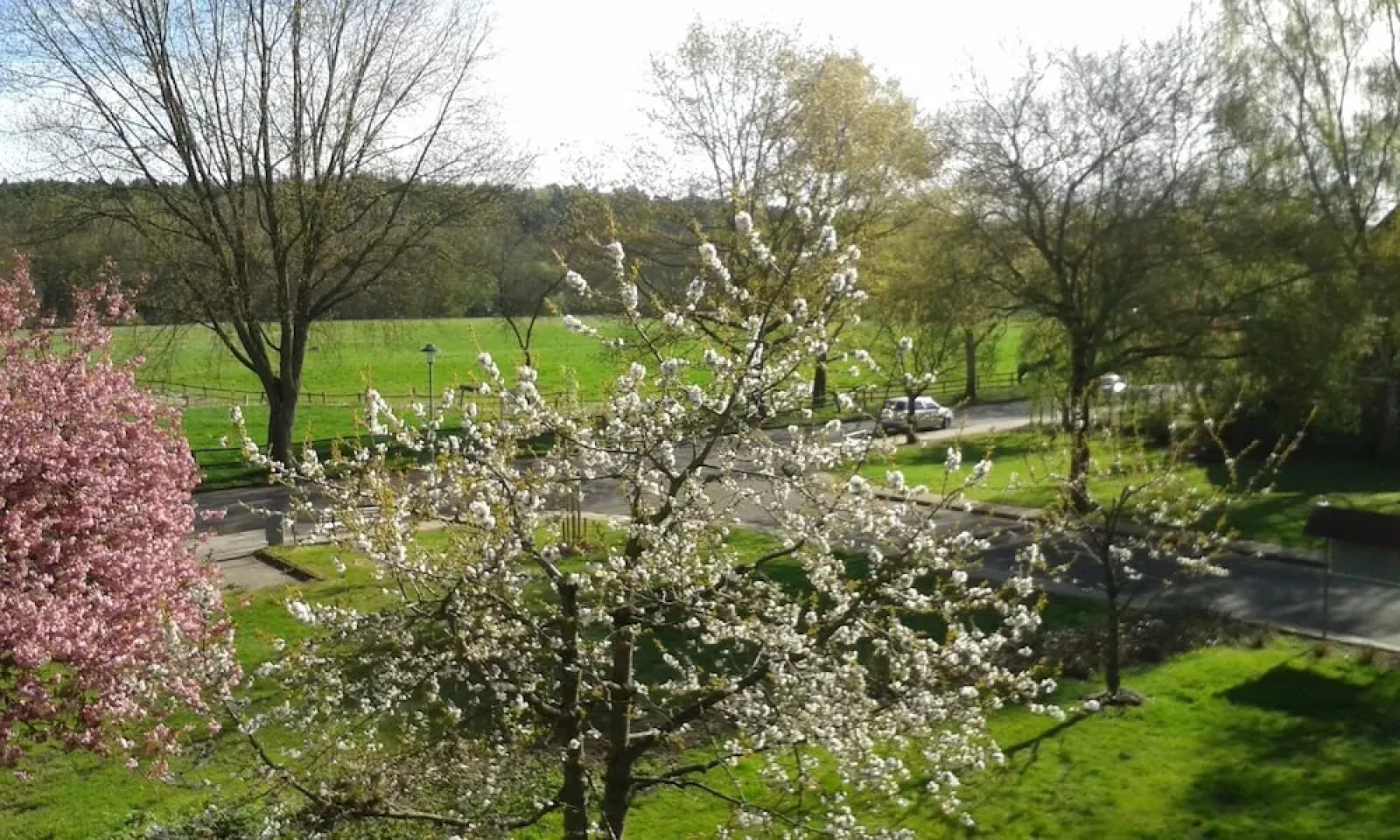 Hotel Pension zur Rose