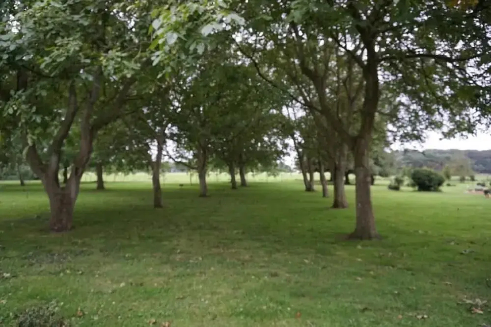 Red Lodge Country House