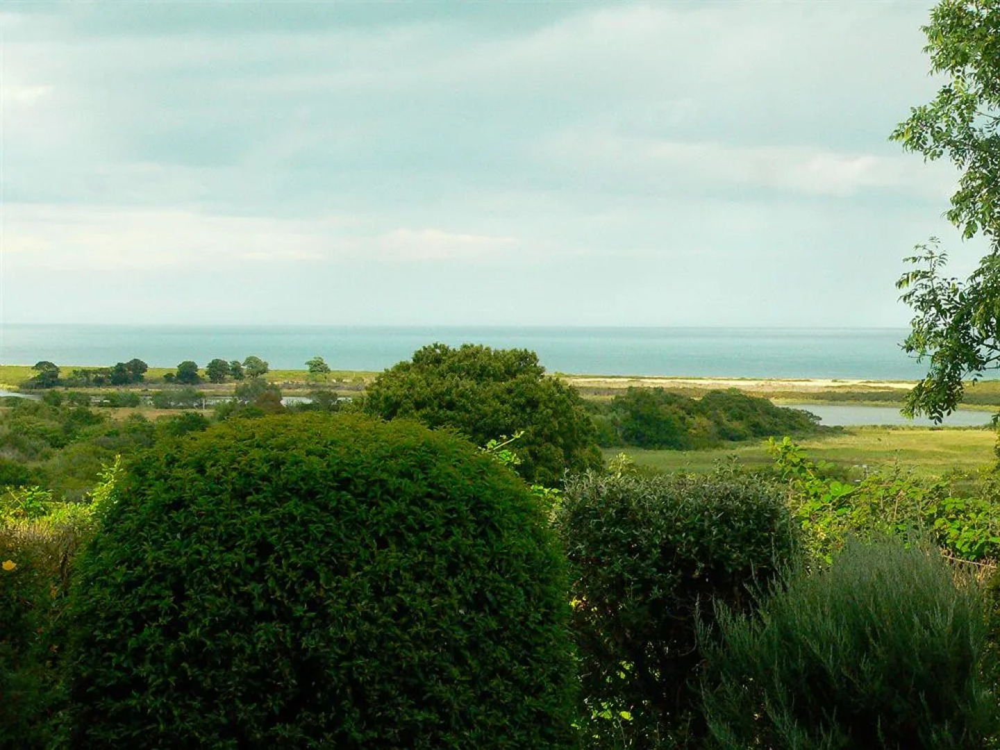 Tinakilly Country House Hotel & Restaurant