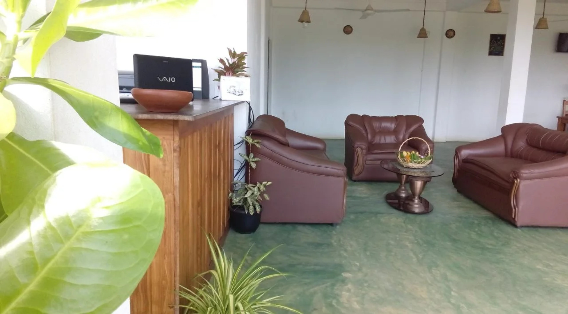 Sunset Safari & Resort