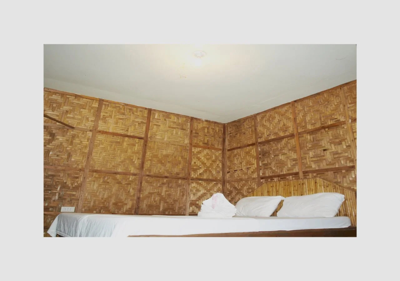 The Sharks Tail Dive Resort