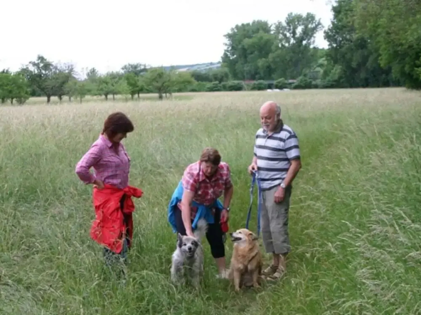 Mott Comfortable Holiday Residence