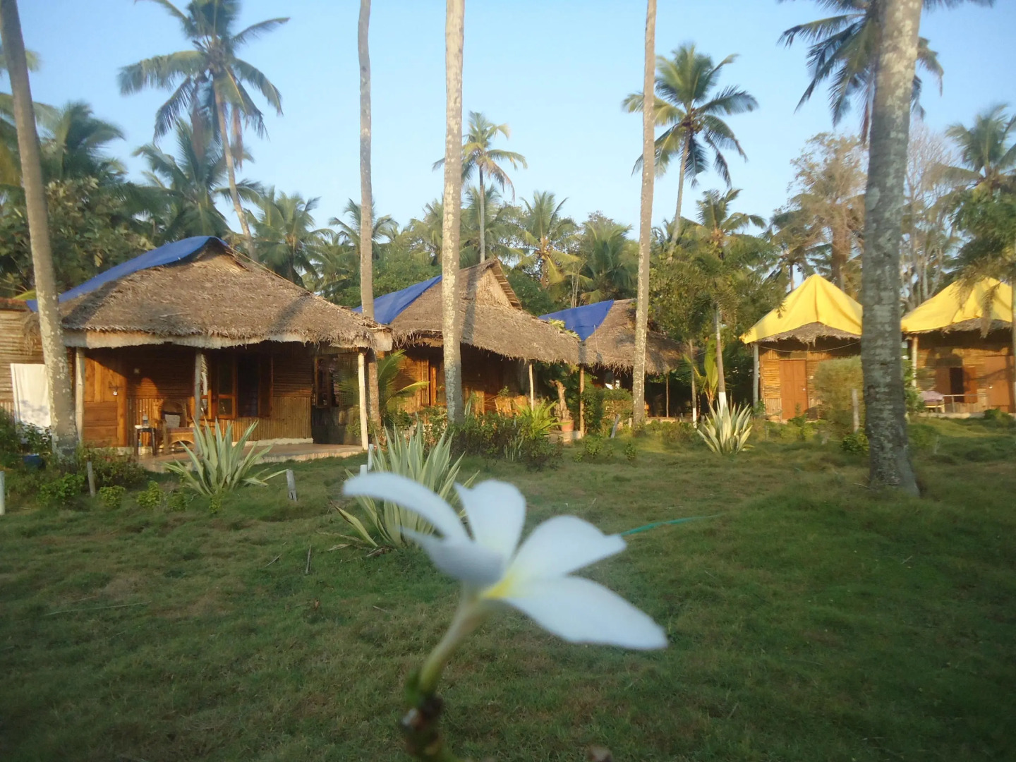 Varkala Bamboo Village Resort