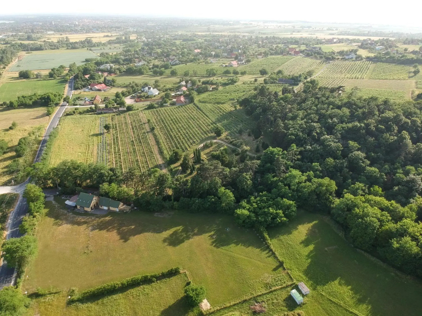 Pilikán Apartments - Park - Vineyard & Sheep farm