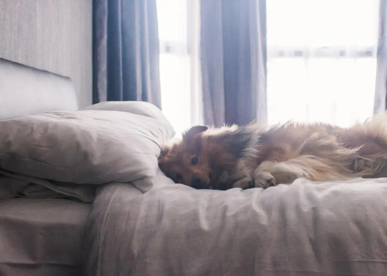 Wellesley Park Hotel