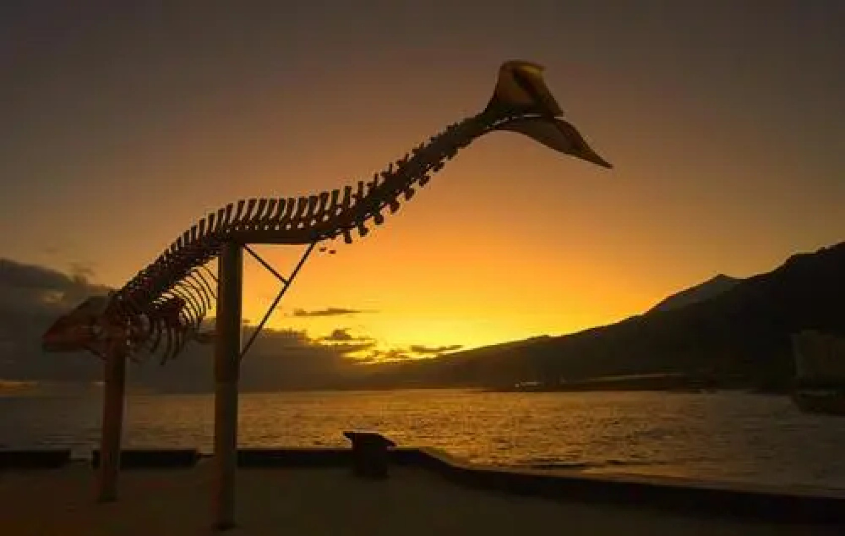 Apartamento Mar y Montaña