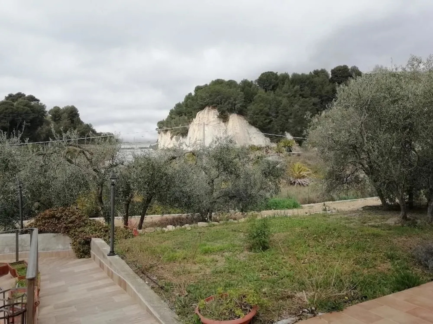 Agriturismo il Grande Ulivo