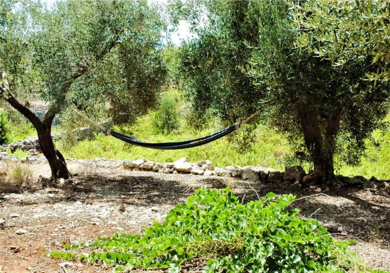 Holiday Home Casa Giuliveto