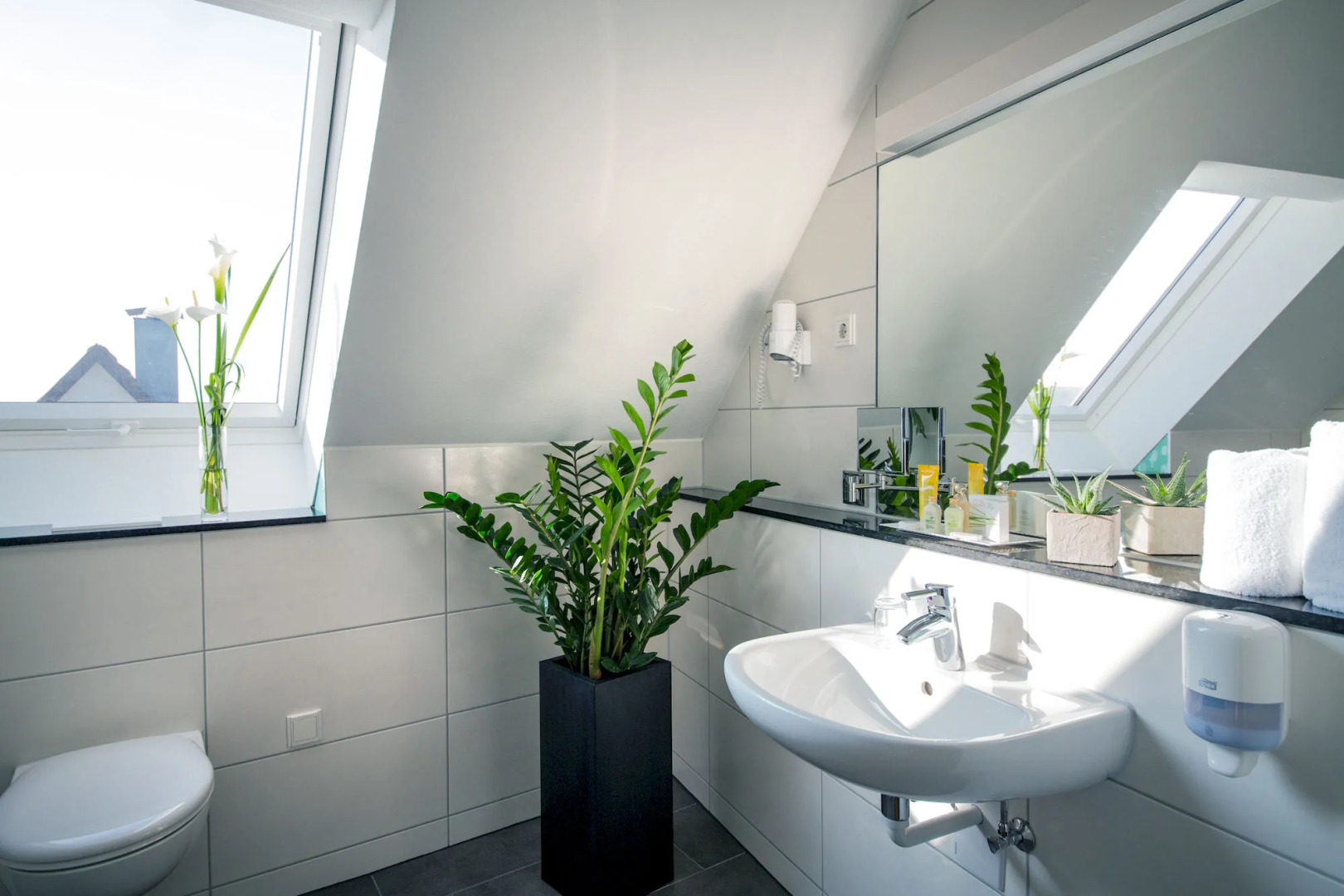 Hotel & Restaurant Goldener Pflug