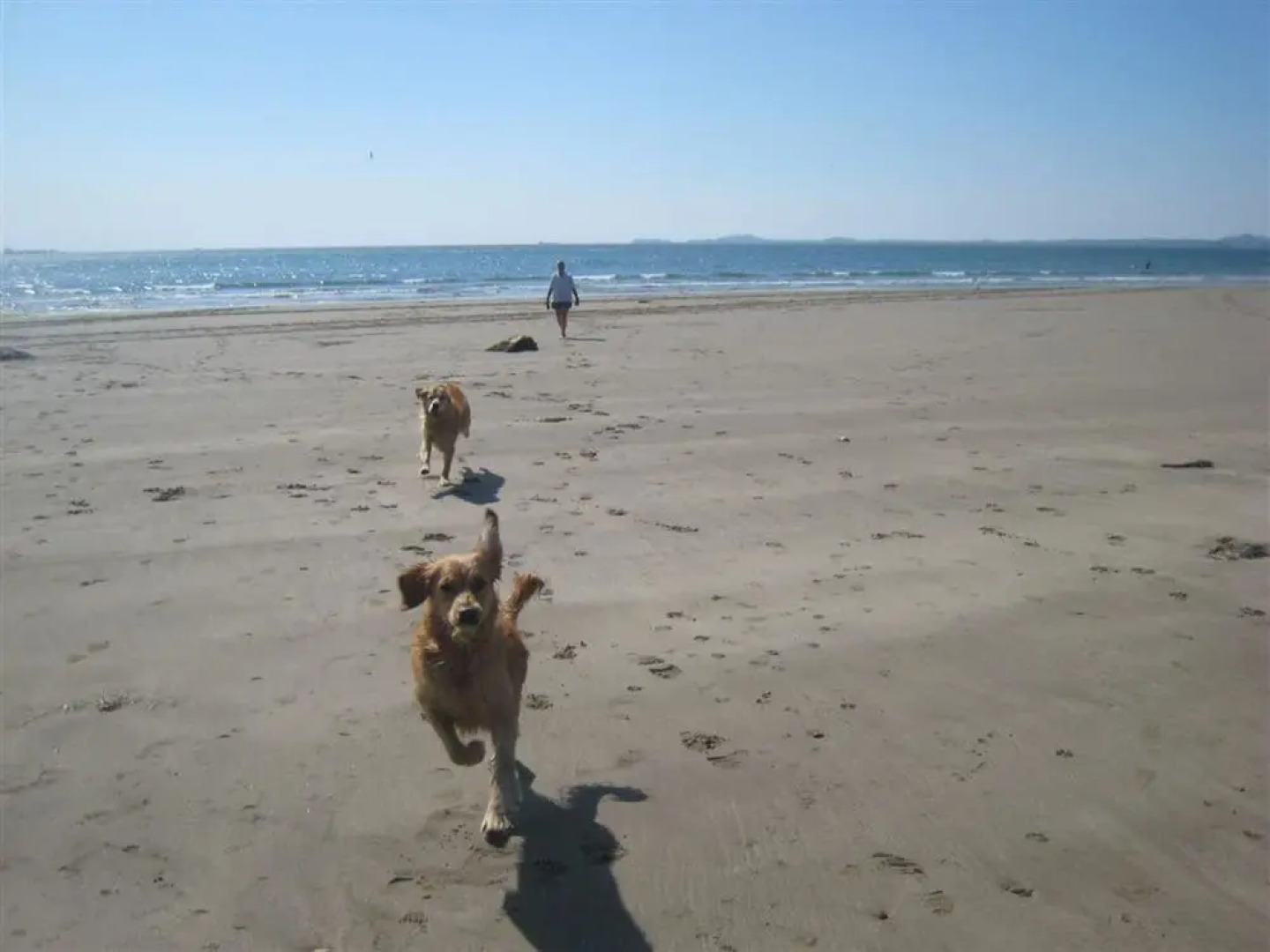 Modern Holiday Home in Saundersfoot With Garden