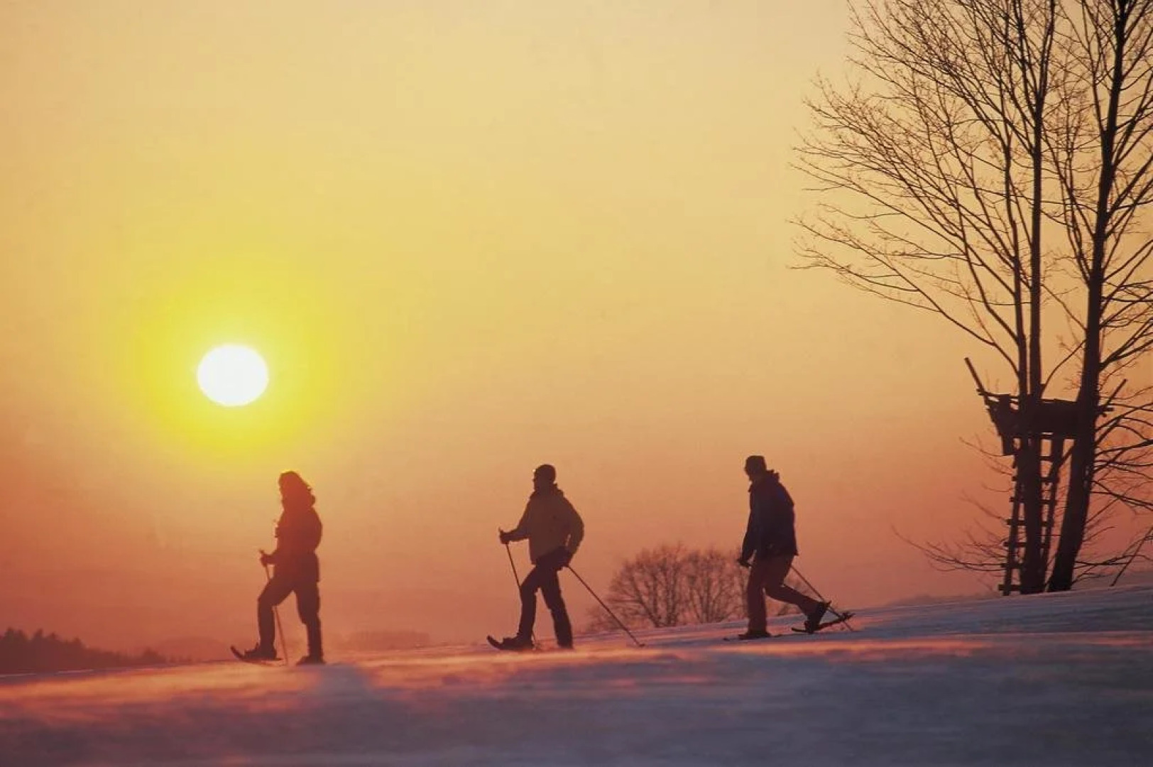 Hotel Pension Hochficht