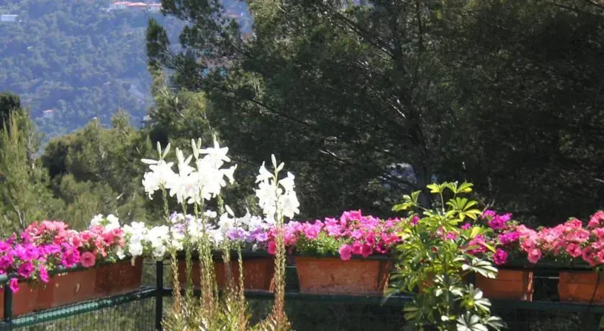 Hotel Locanda Dei Fiori