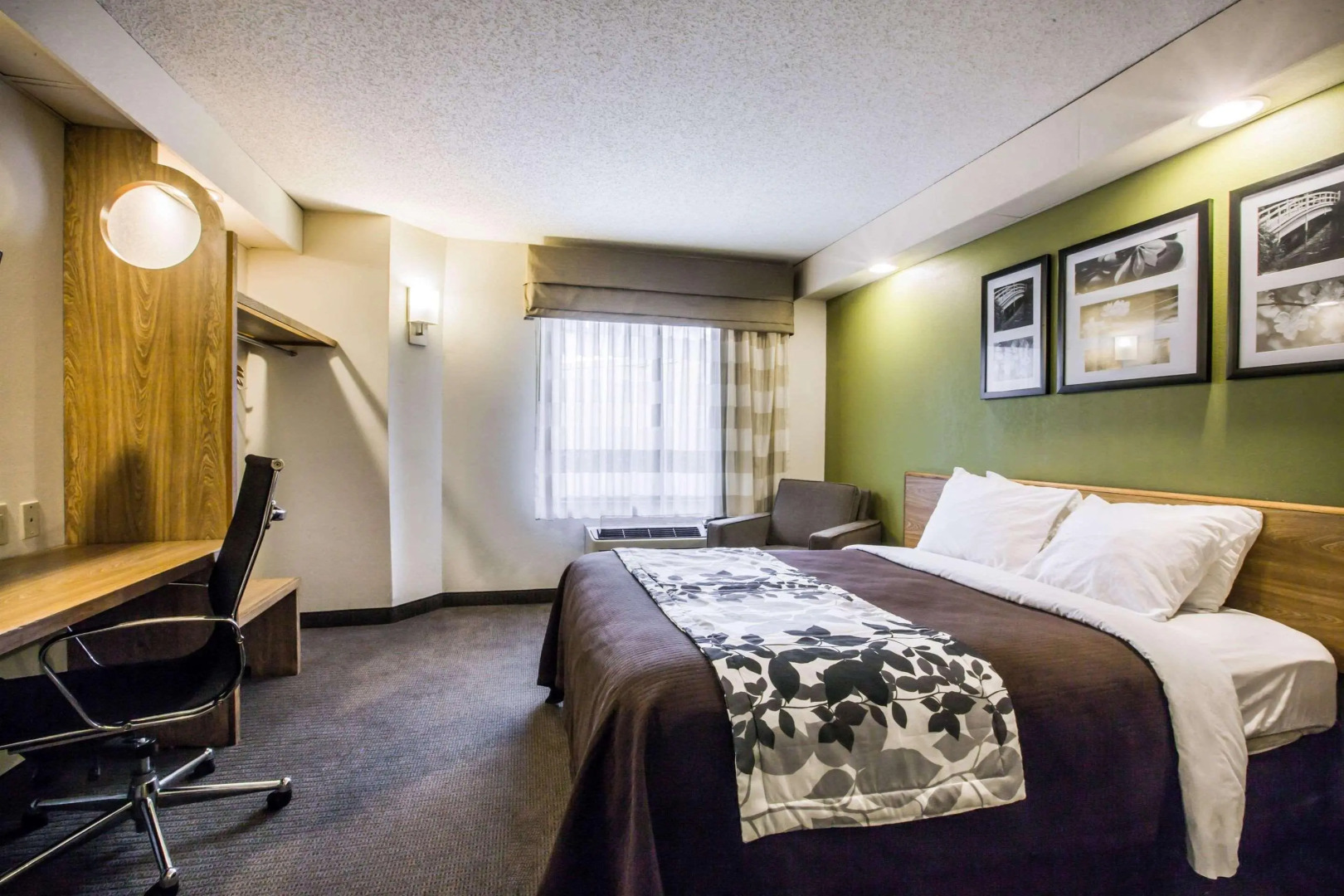 Rodeway Inn Austell Six Flags