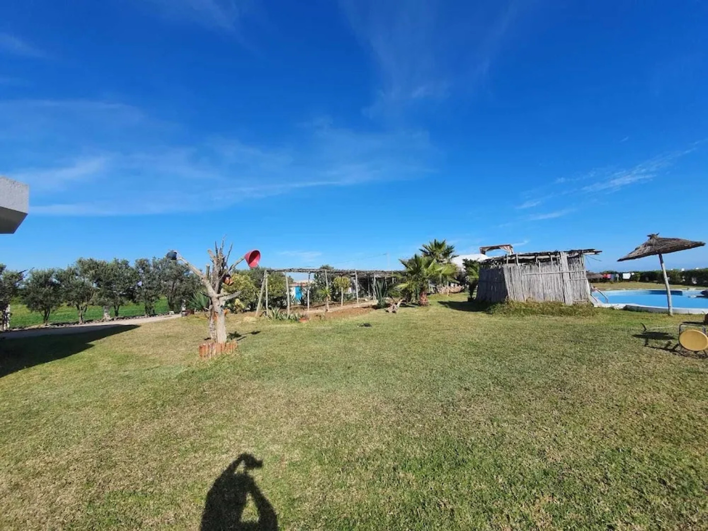 Yasmine Maamoura Beach