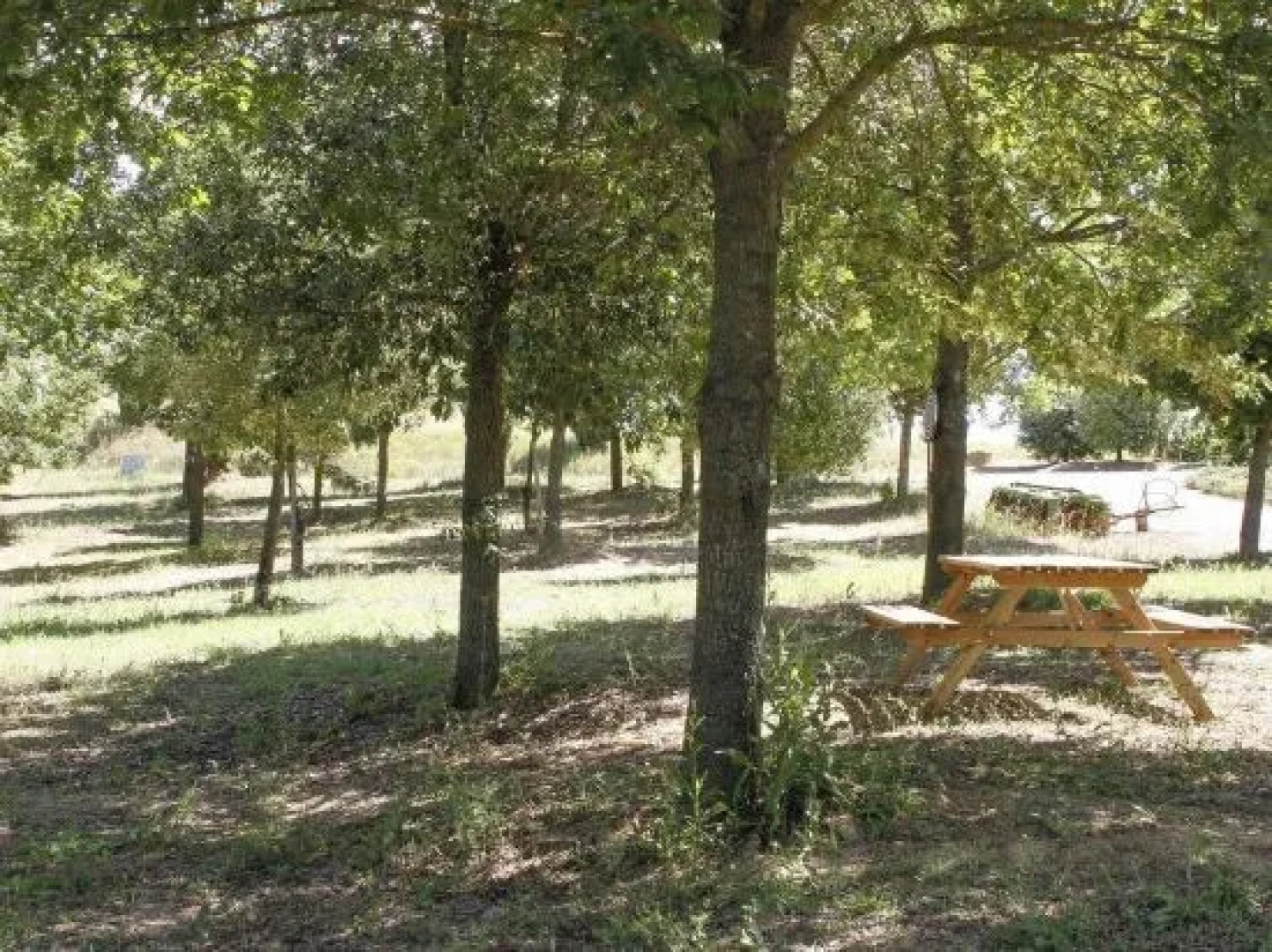 Agriturismo Il Casino