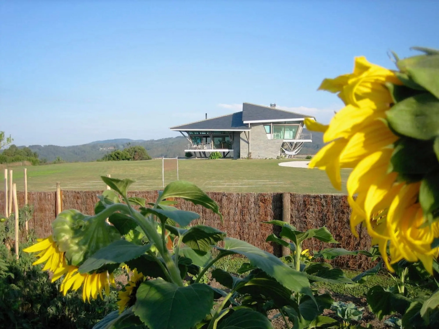 The Hidden Secret on the Cliff