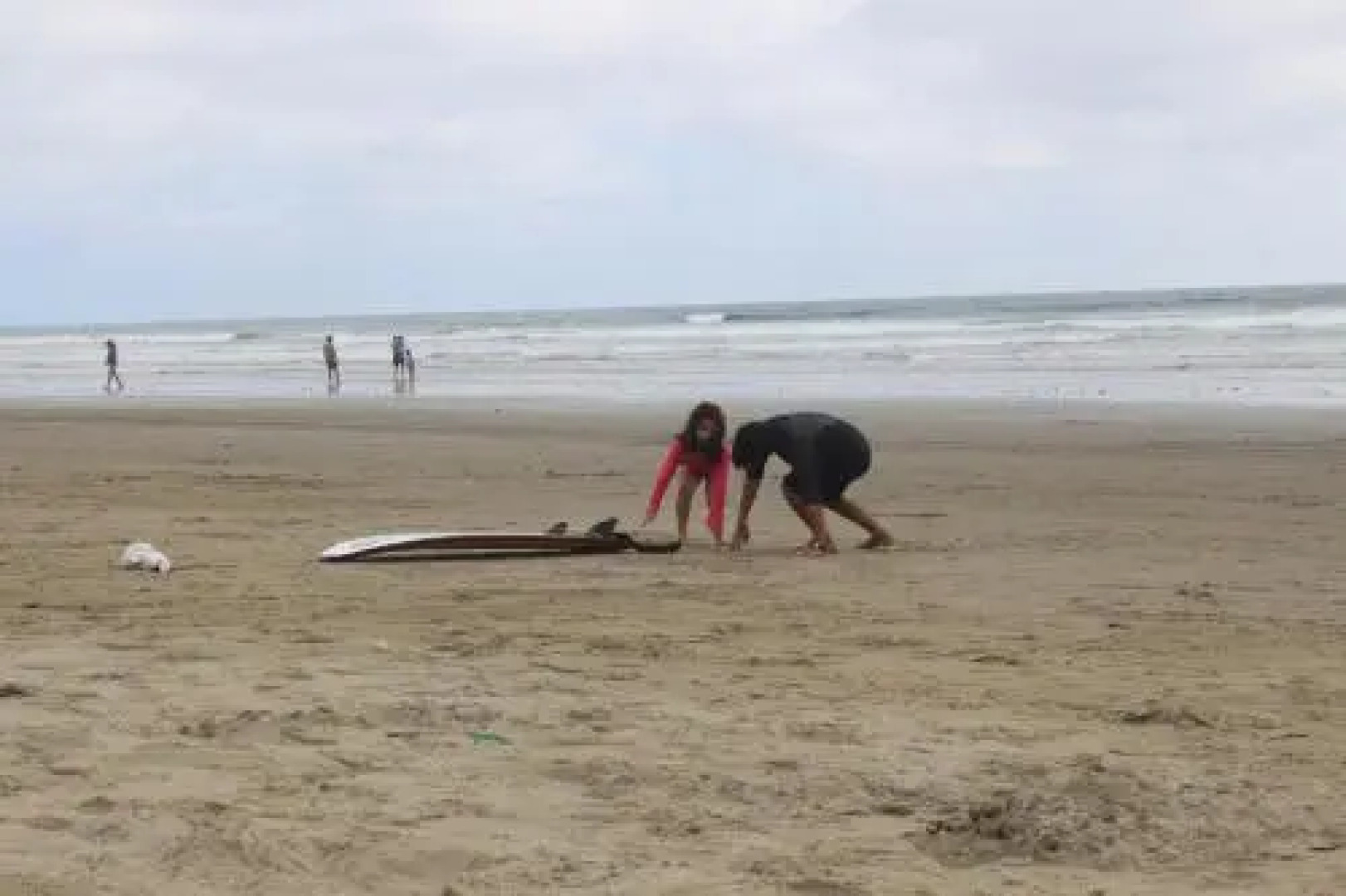 Finca Hostería Bella Aurora