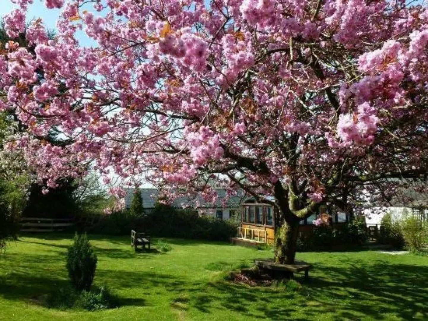 The Head At Middleton