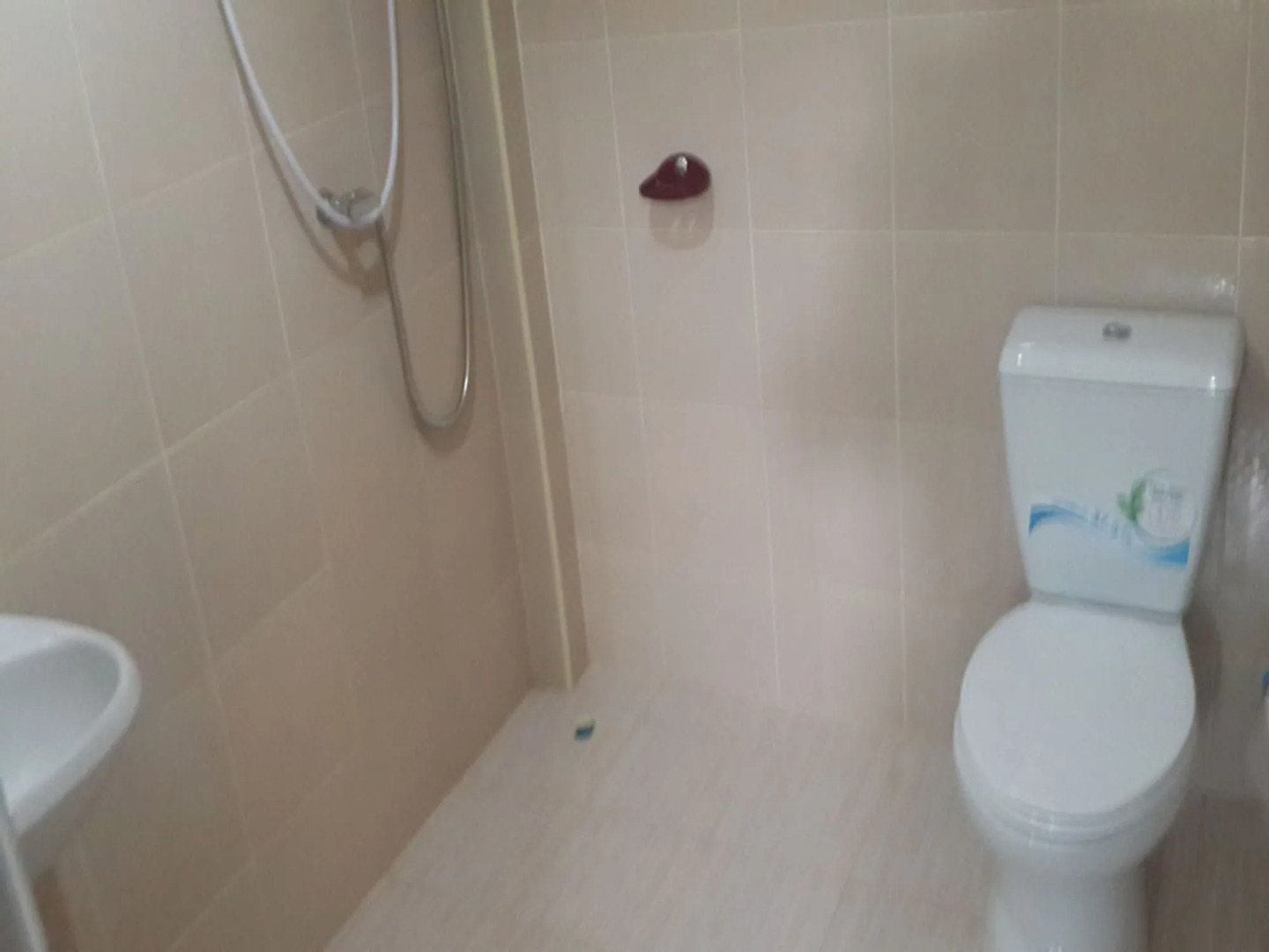 Khao Sok Jungle Huts