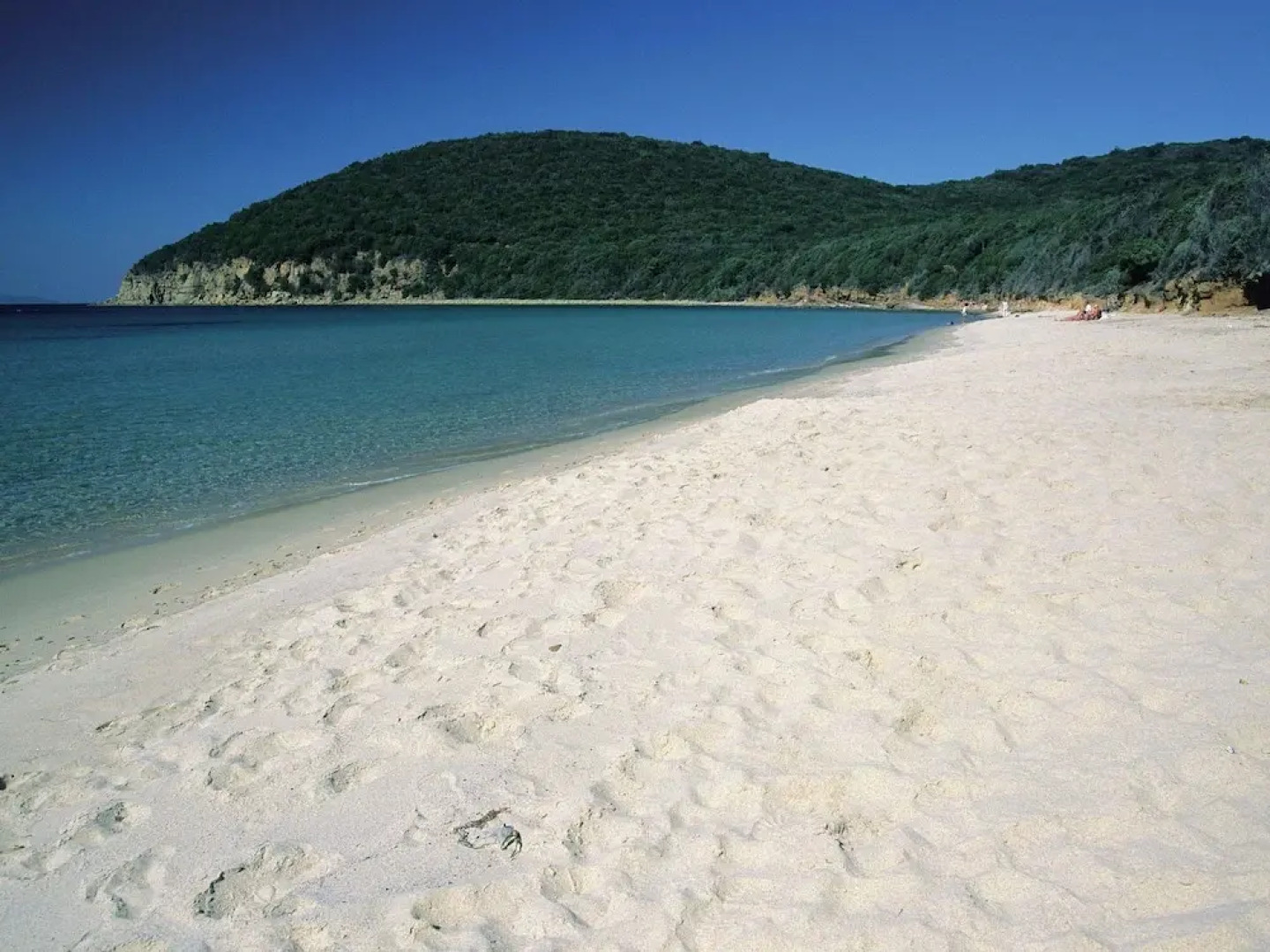 Nice Apartment With a Terrace, Near the Sea