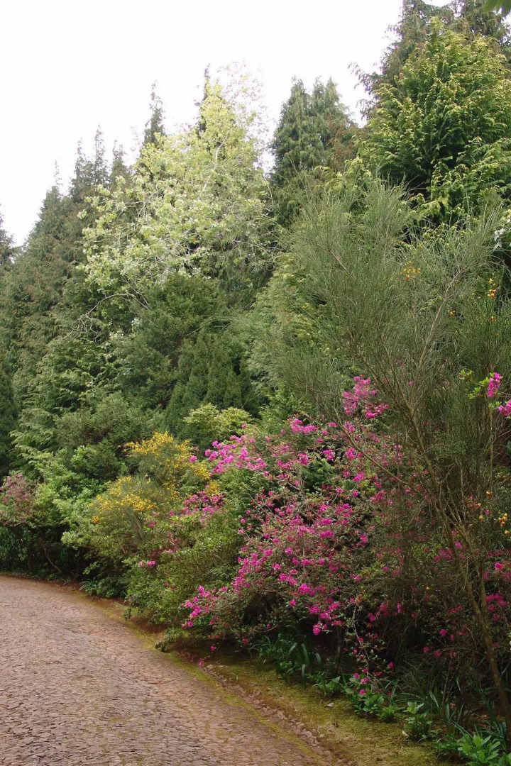 Quinta de Santo António da Serra