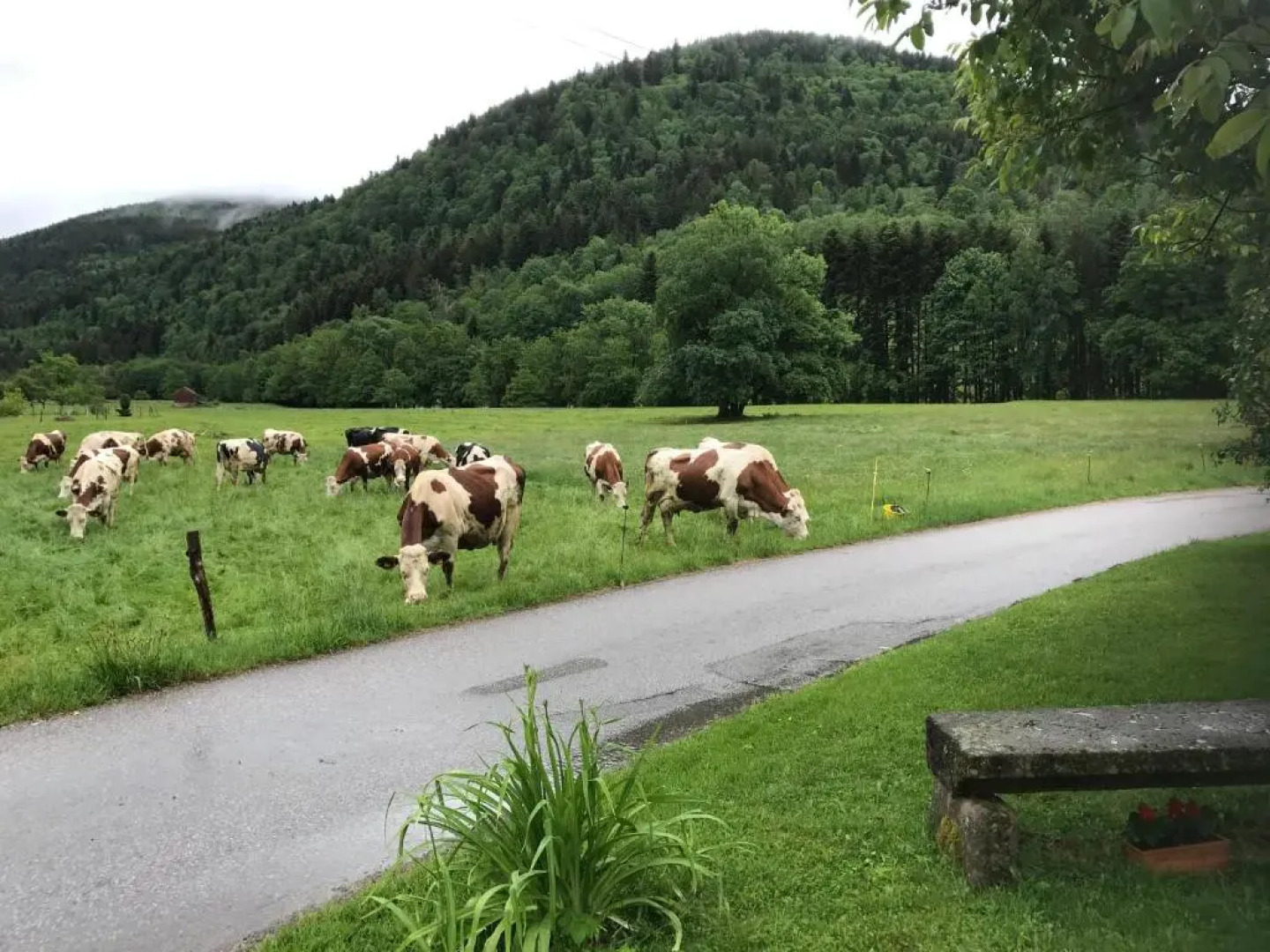 Gîte de la Mésange