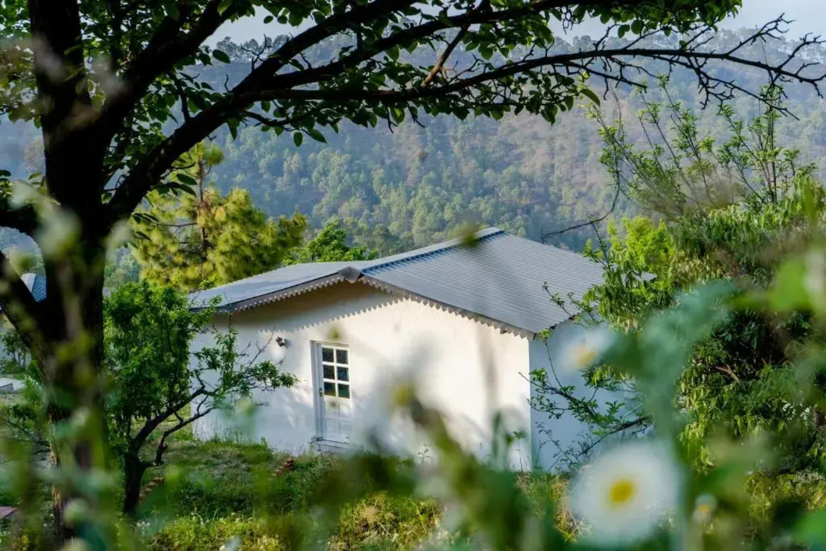 Shivoham Himalayan Resort