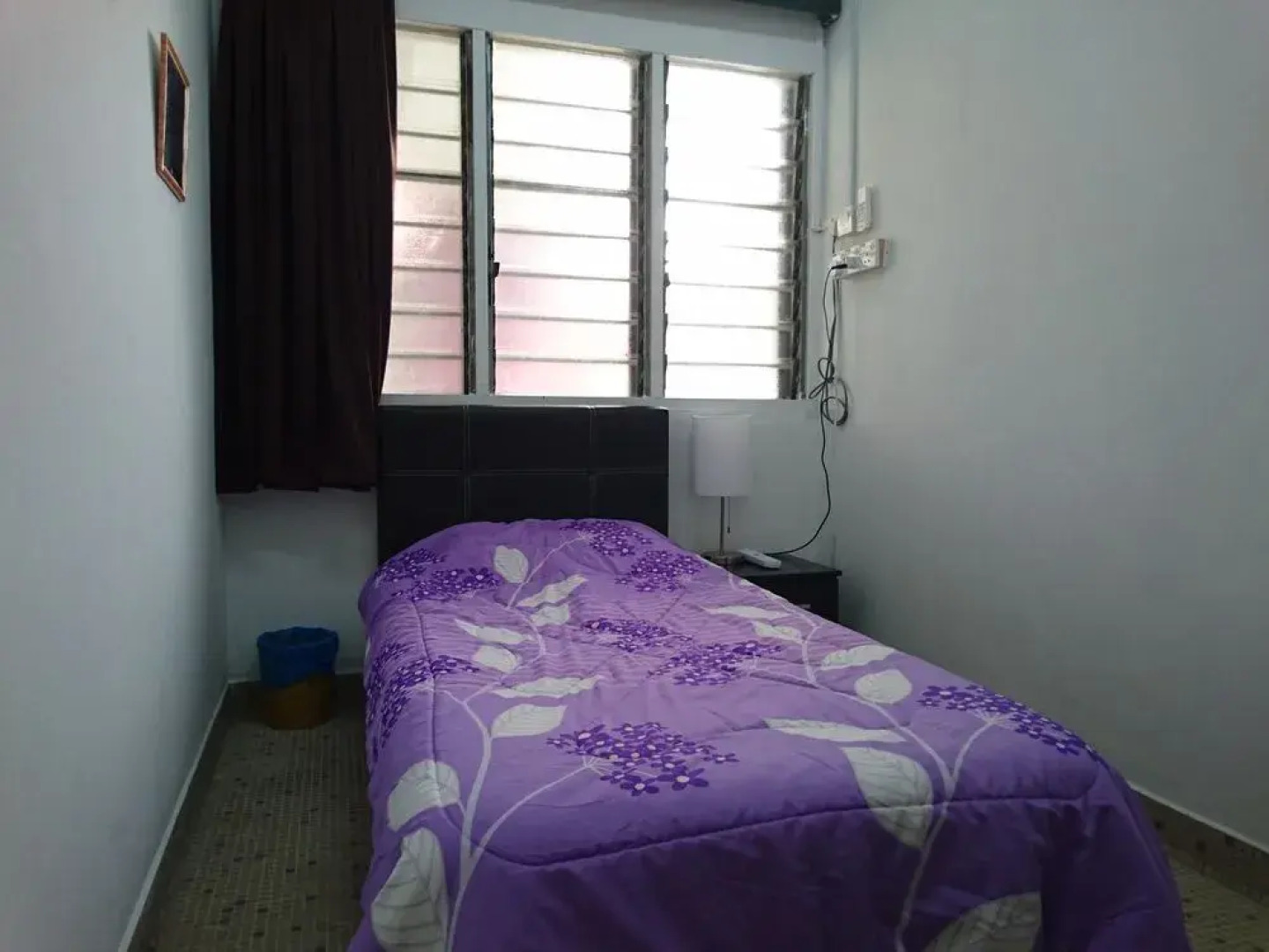 Sea Lion by the Beach