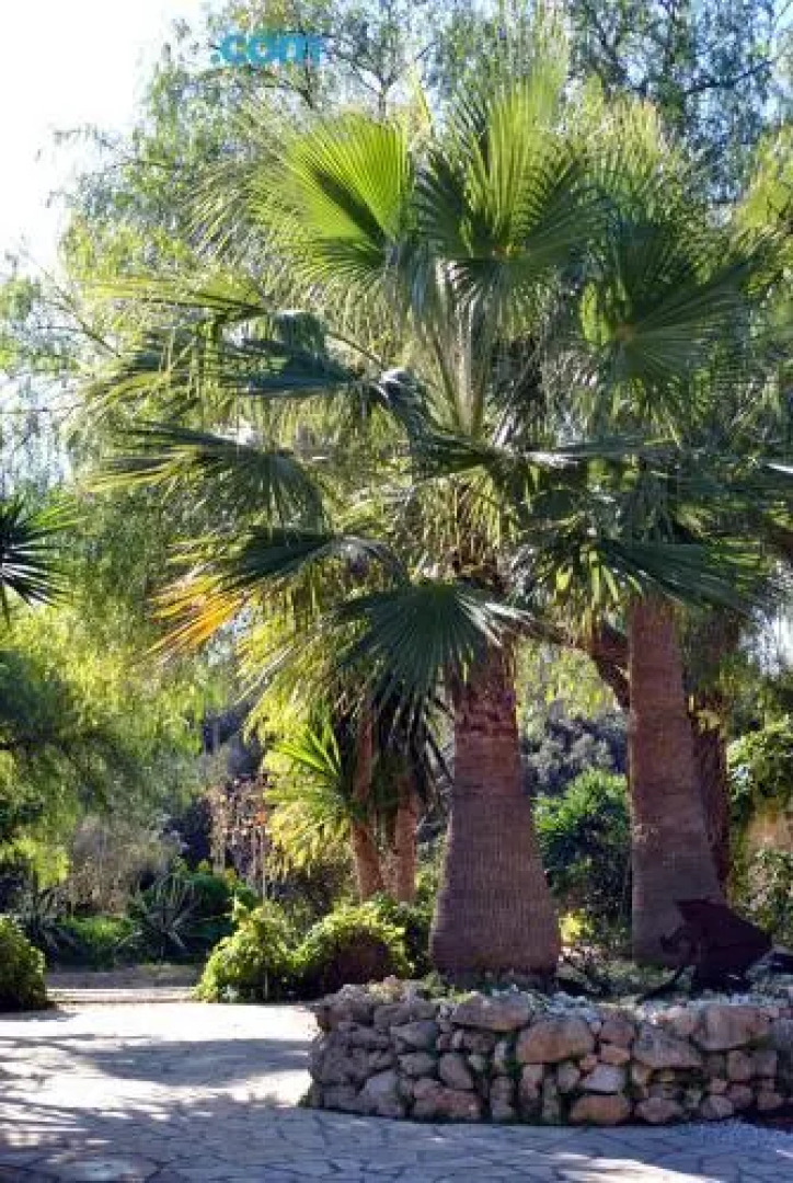 Finca Hotel C'An Bota