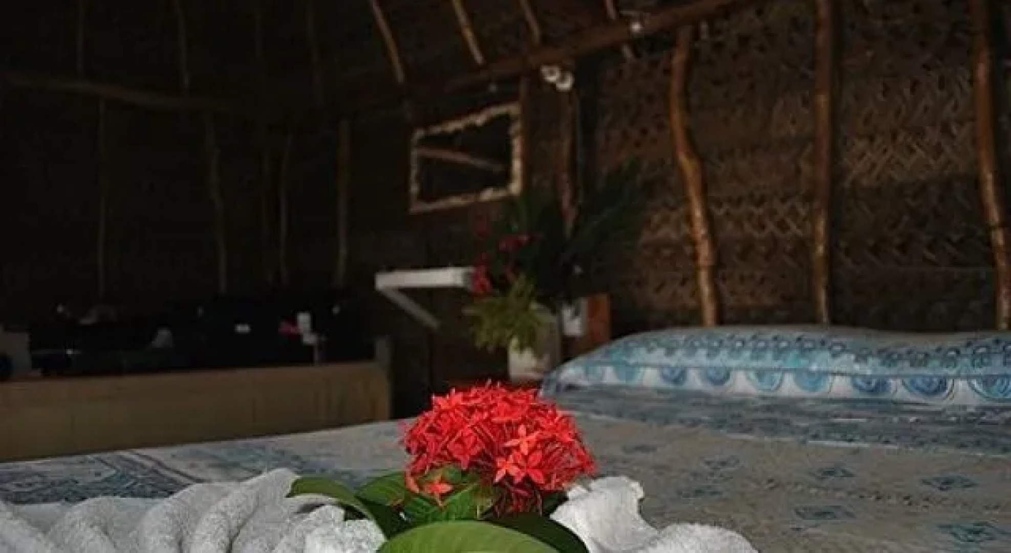 Waisalima Beach Resort & Dive Centre