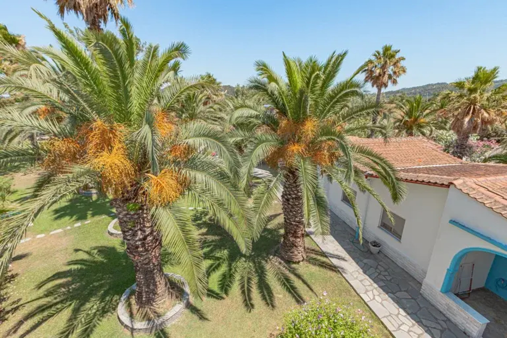 Greek Pride Palma Village