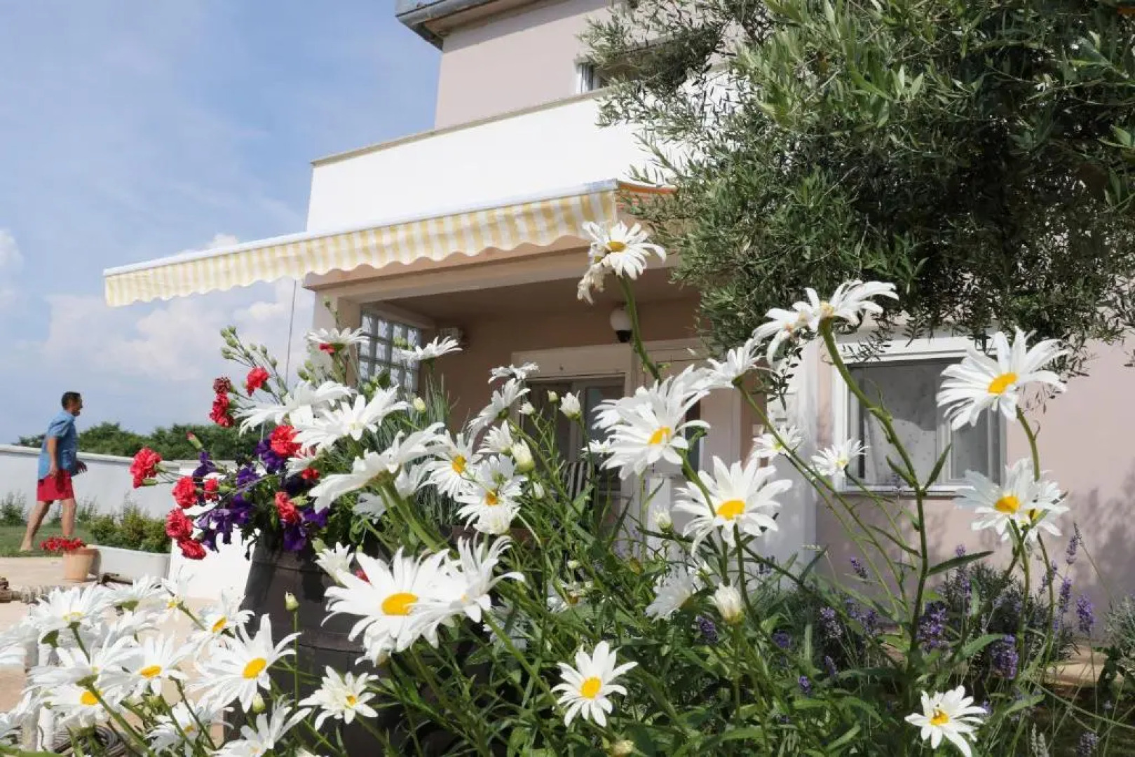 Apartments Zaton Draga