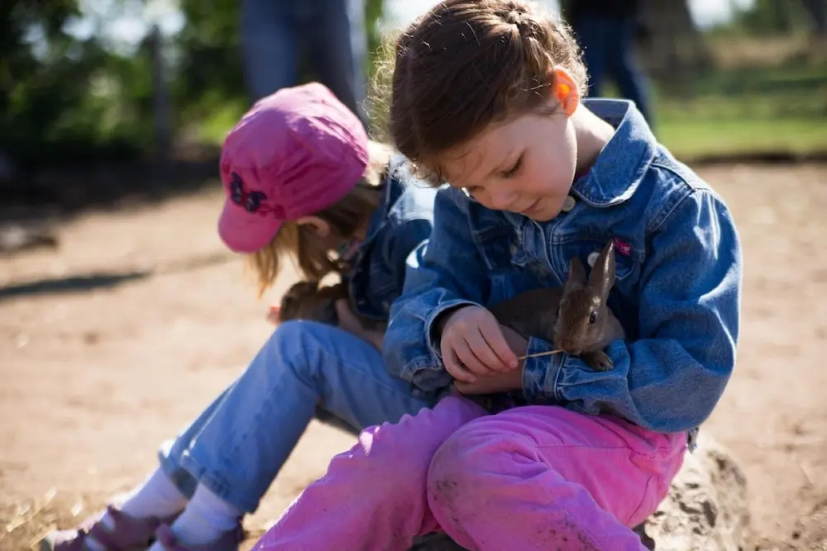 Nymarksminde Apartments & Farmpark