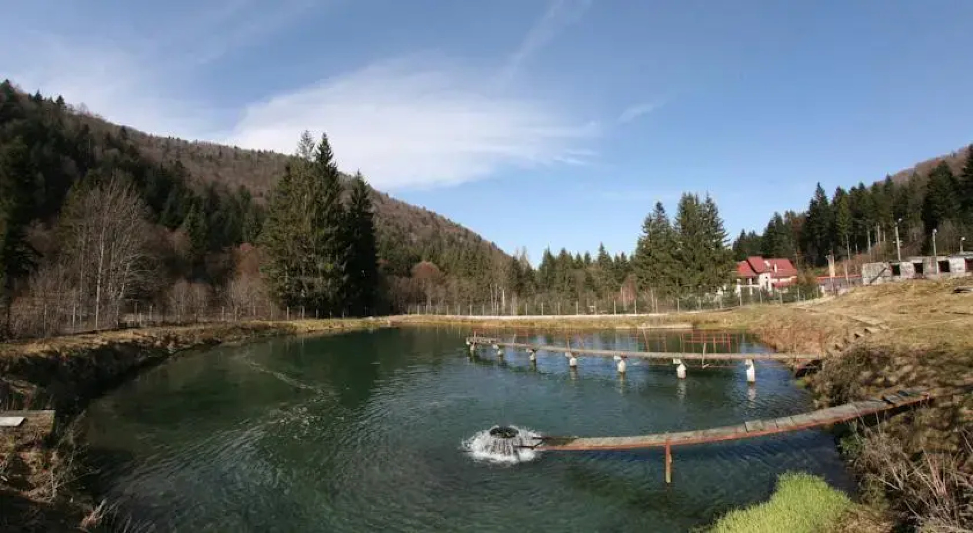 Pension Floarea Reginei