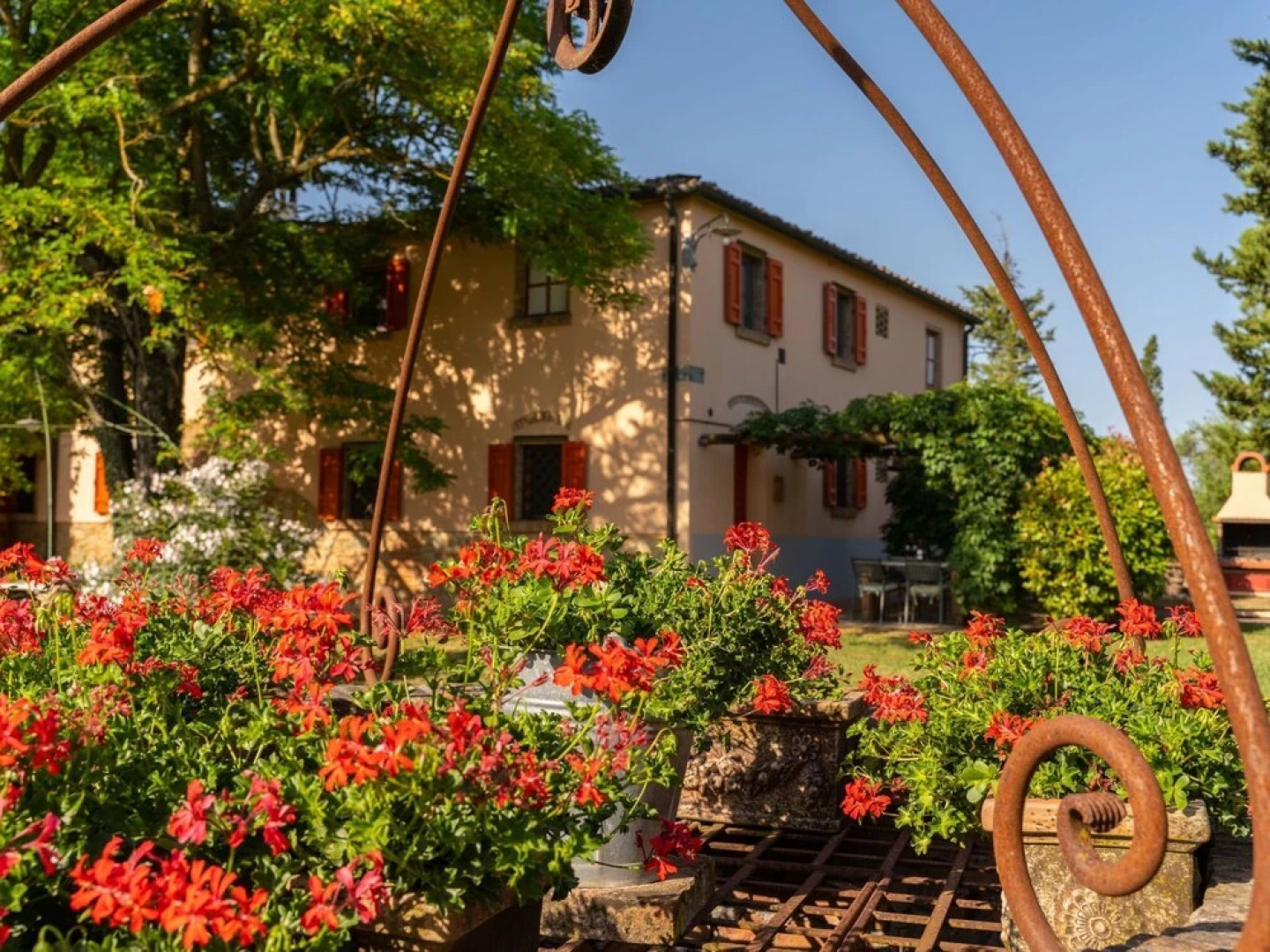 Rosa Montelopio in Montelopio