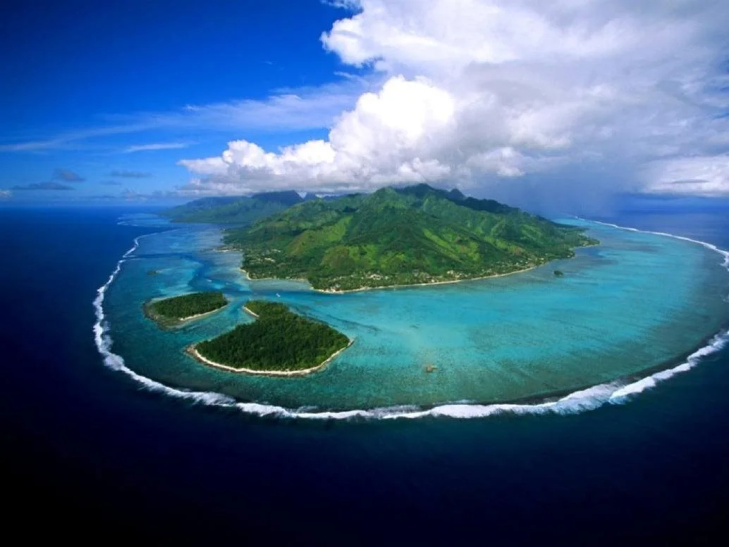 Residence Les Cocotiers