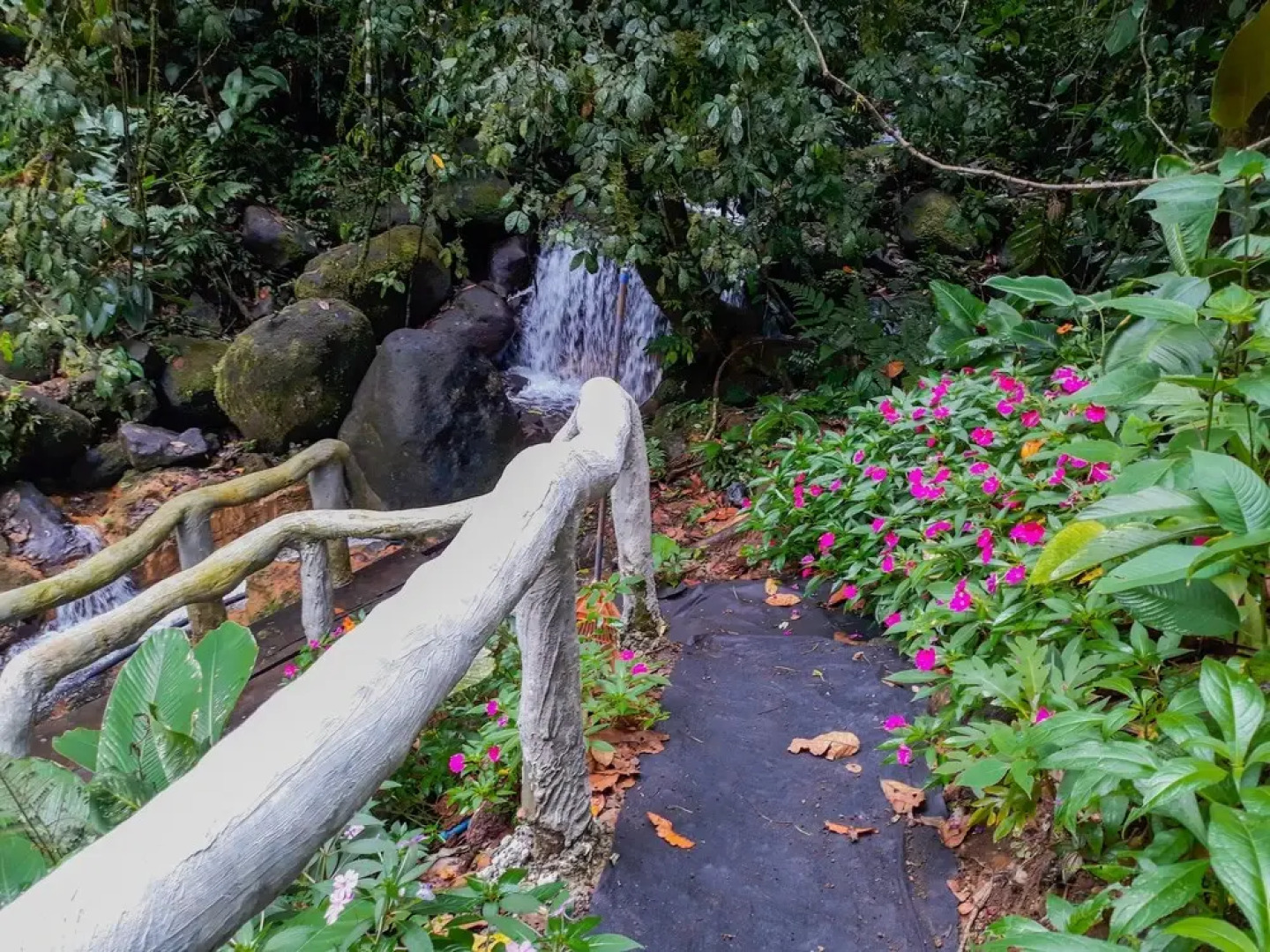 Rio Celeste Family Lodge