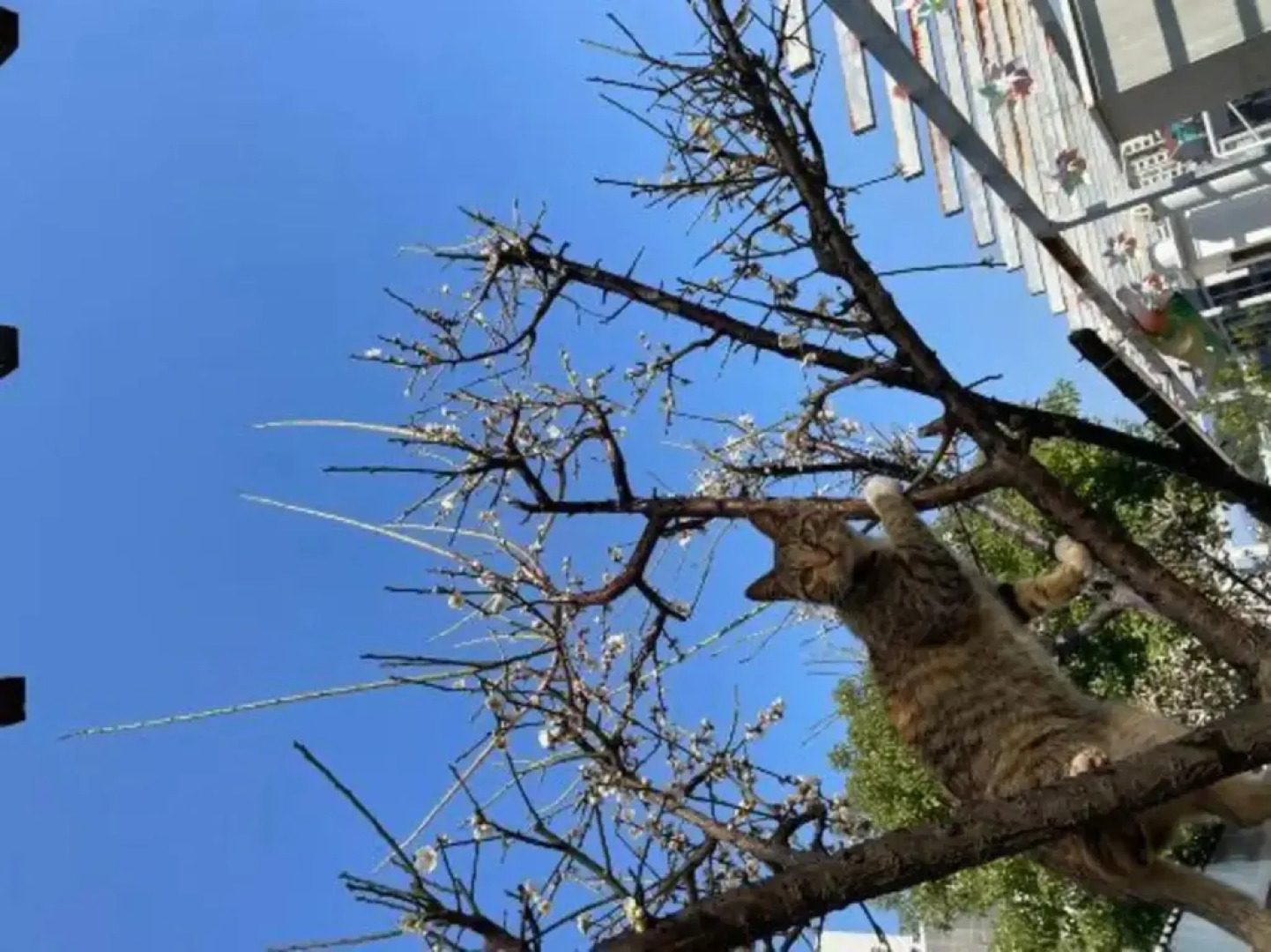 Yitel Trend (Fuzhou Guping Road Provincial Government Pingshan Metro Station)