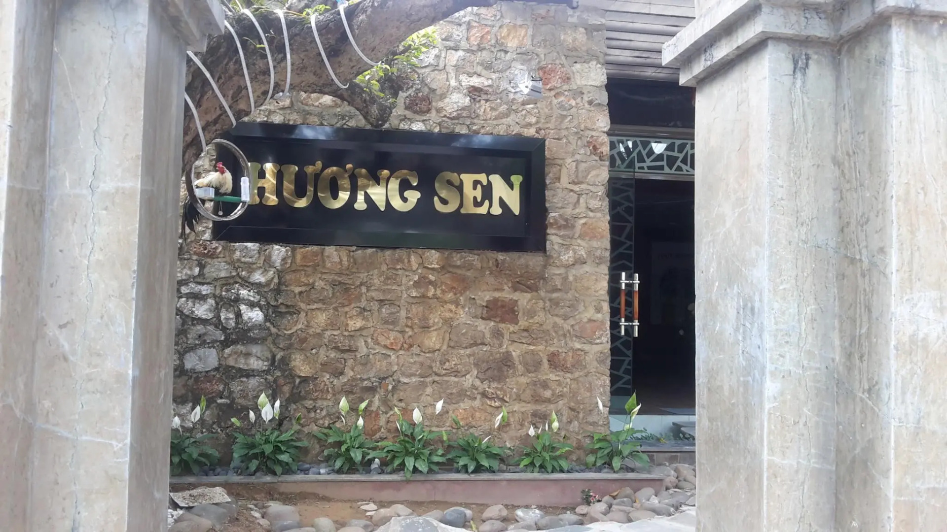 Huong sen homestay