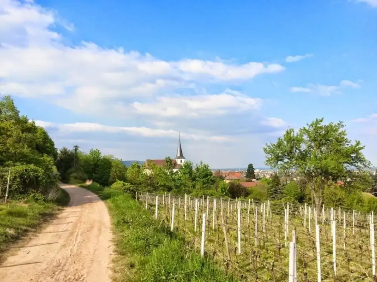 Holiday Apartment Harle-wack