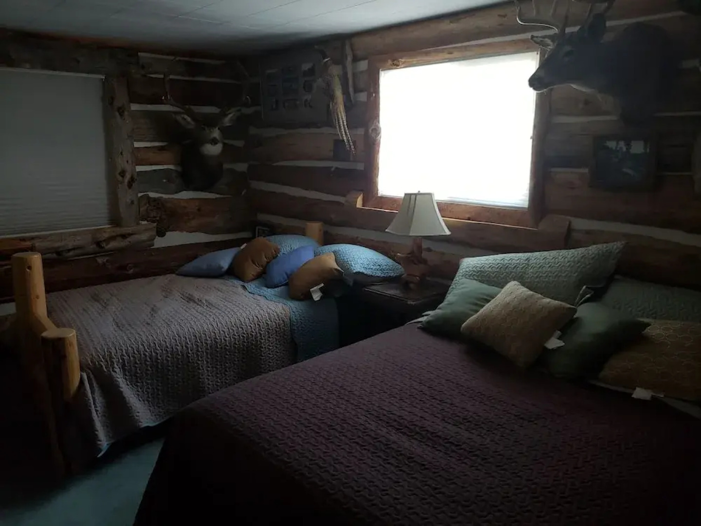 The Last Resort Lodge