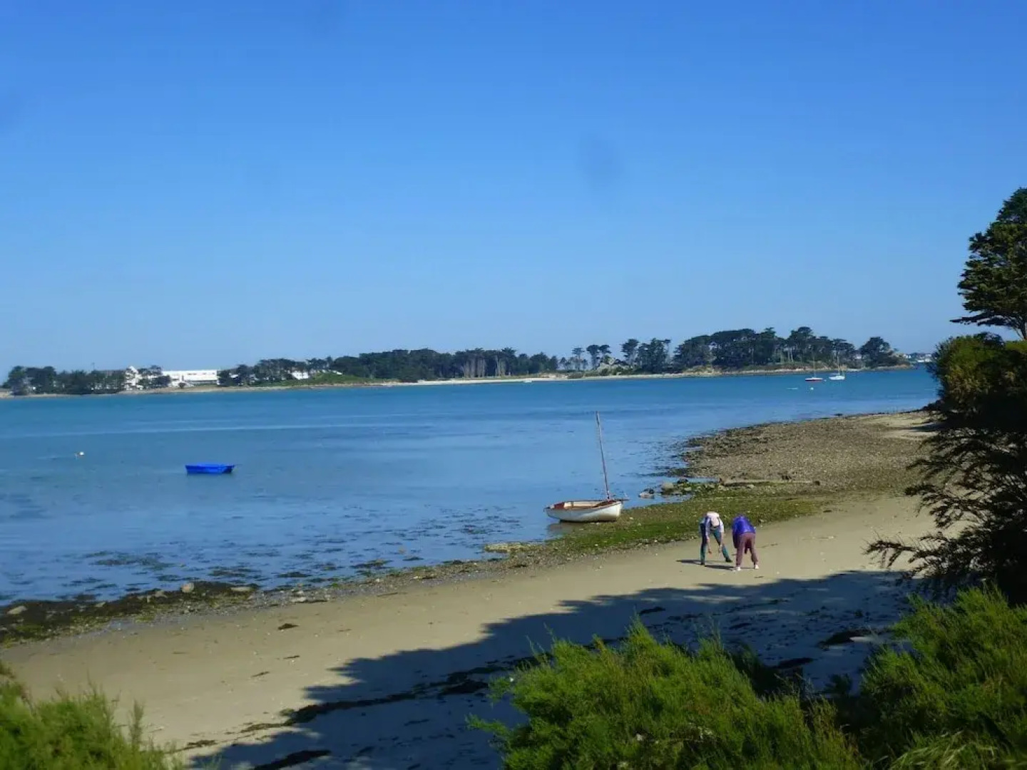 180deg Panoramic sea View, Apartment, Roscoff