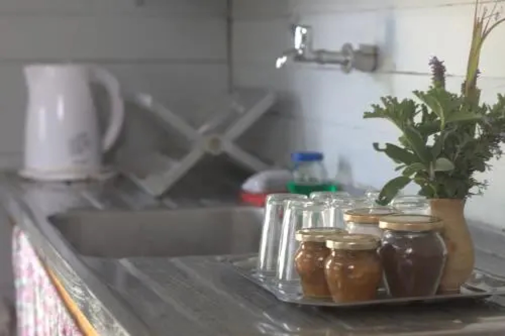 Back to Nature via the Bible