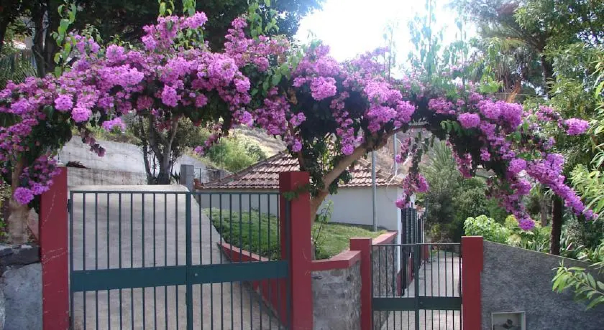 Quinta Vista Mar do Arco